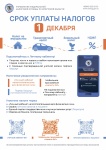 СРОК УПЛАТЫ НАЛОГОВ 1 ДЕКАБРЯ!!!!!!!! СРОК УПЛАТЫ НАЛОГОВ 1 ДЕКАБРЯ!!!!!!!!